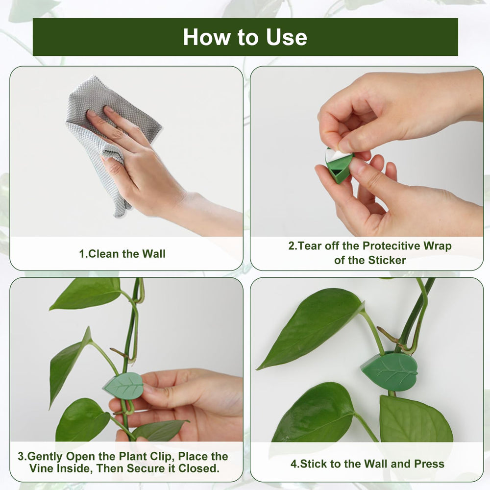 HNHMT clips holding climbing plants against a wall