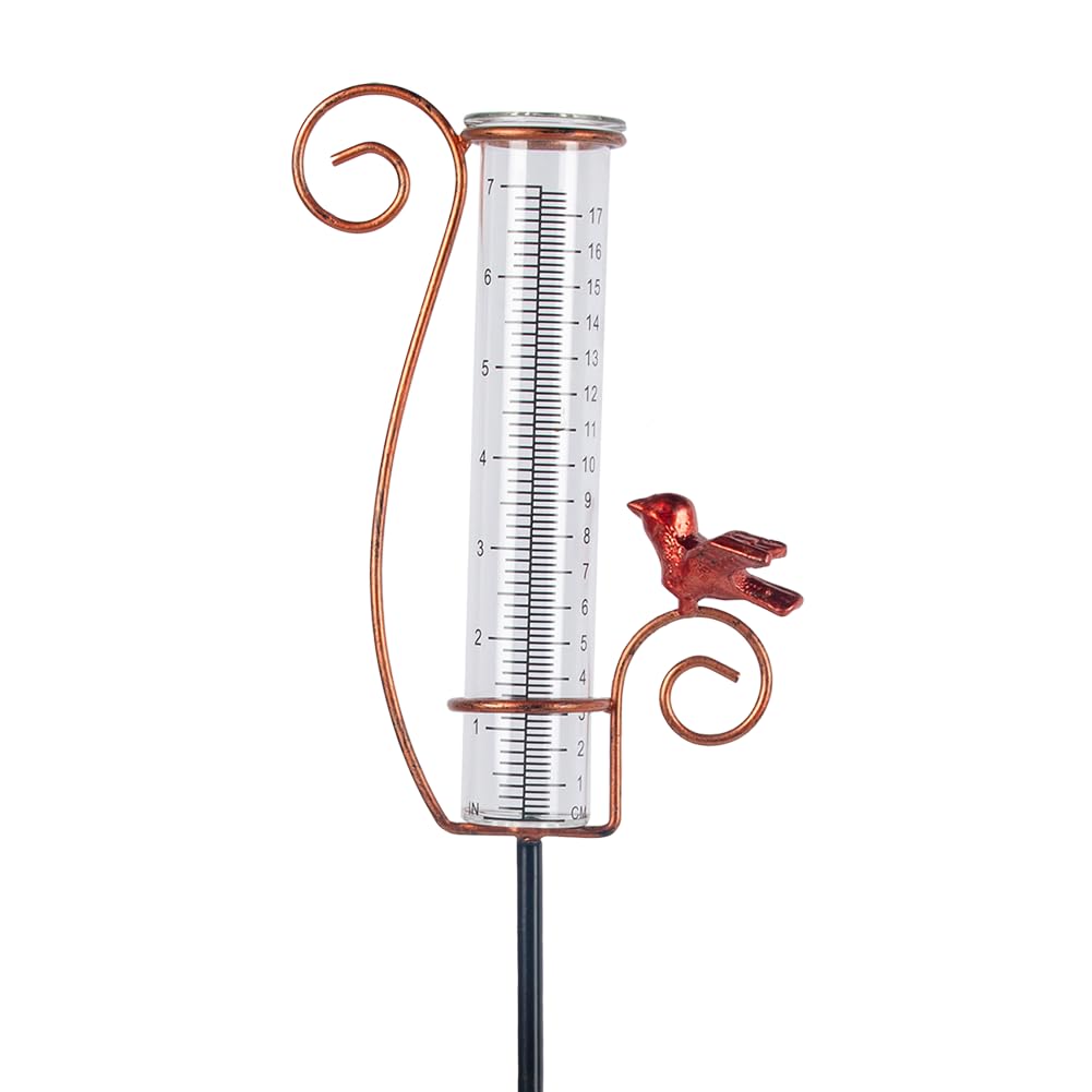 HOBYLUBY Cardinal Rain Gauge front view with glass tube