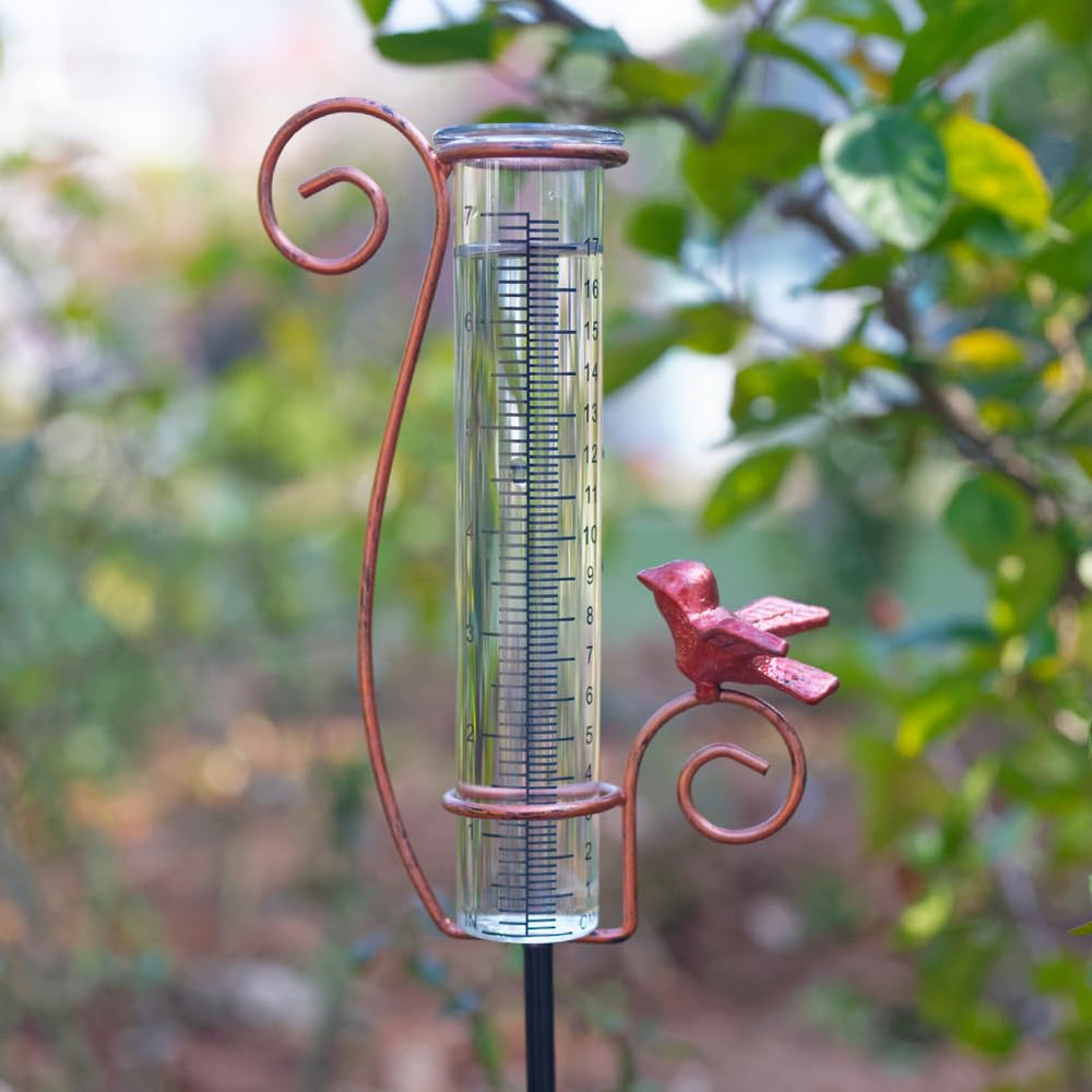 HOBYLUBY Cardinal Rain Gauge packaging and included items