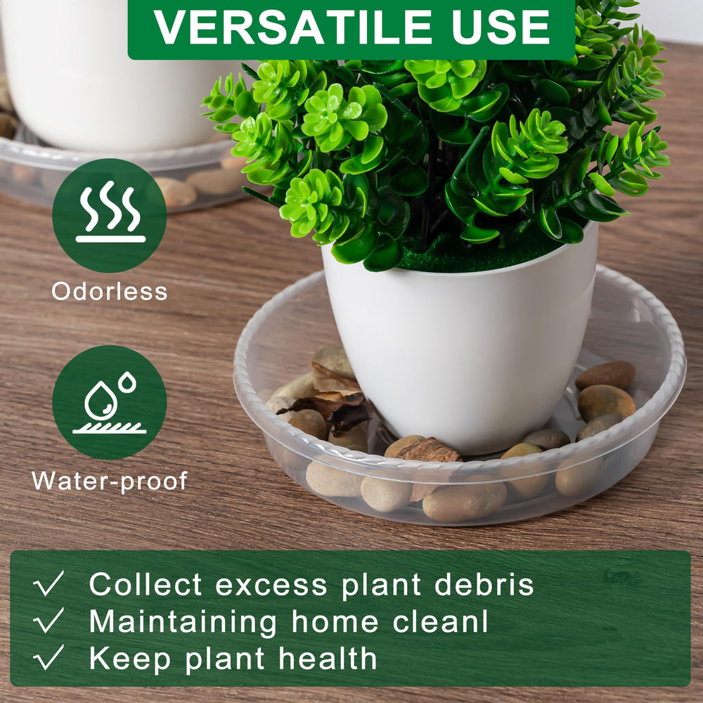 Hoewina plant saucer tray in use with indoor plants