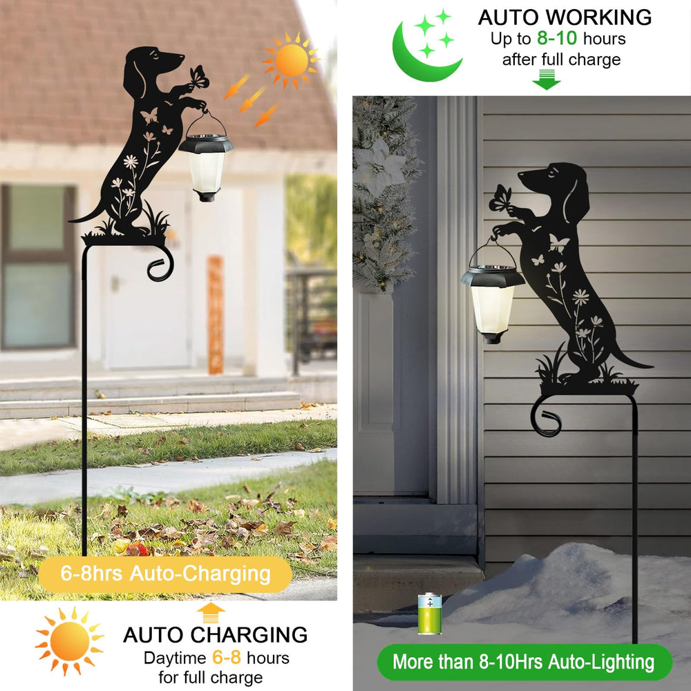 Hokfirm Dachshund Solar Light glowing at dusk