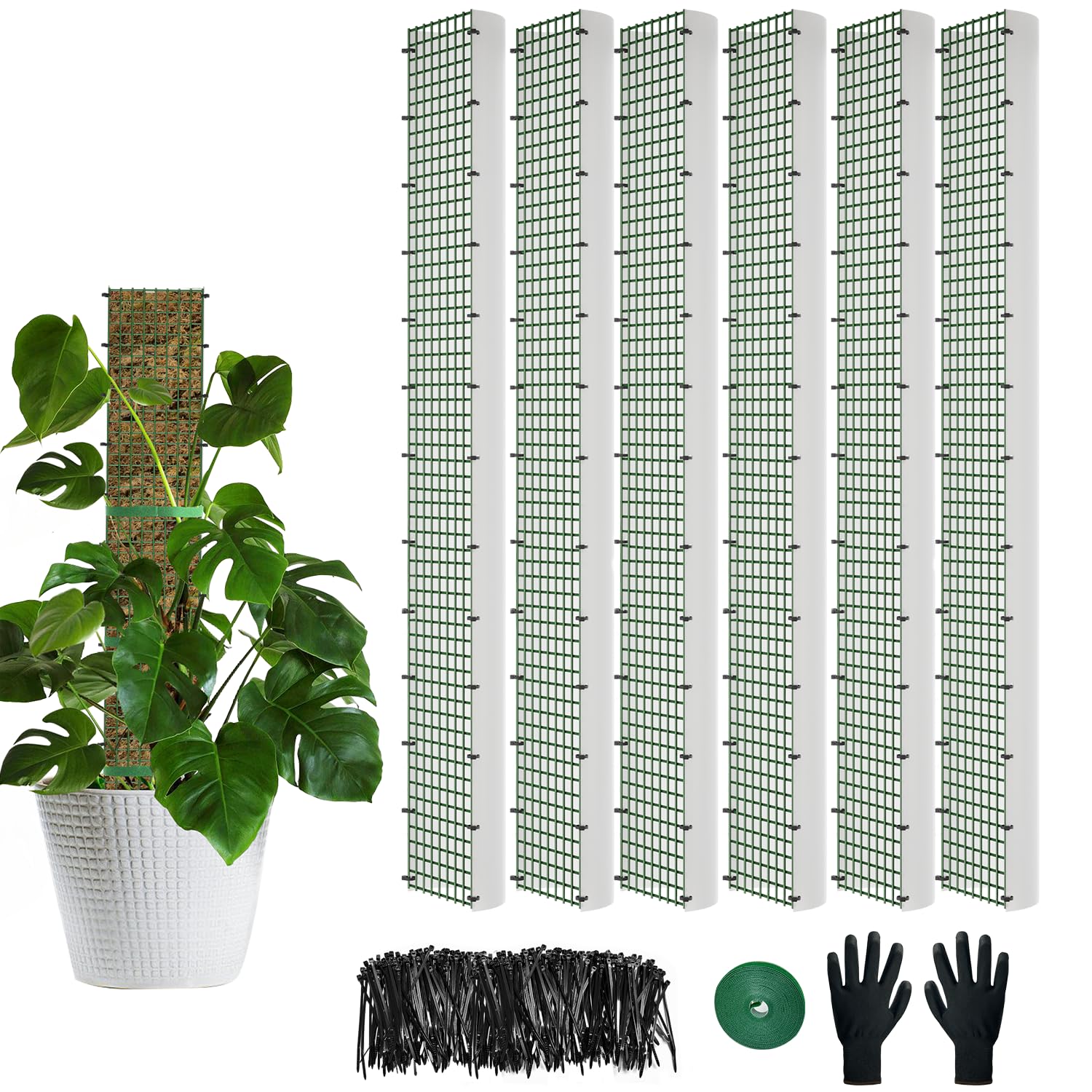 HOLANHING 40" D Shape Moss Pole front view with moss attached