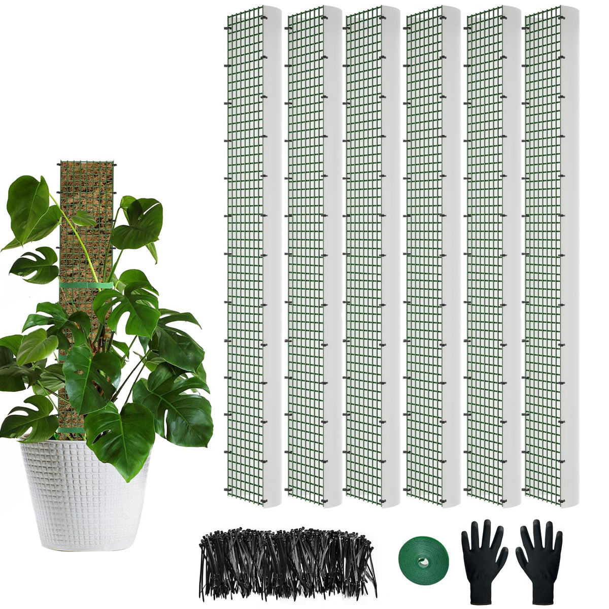 HOLANHING 40" D Shape Moss Pole front view with moss attached