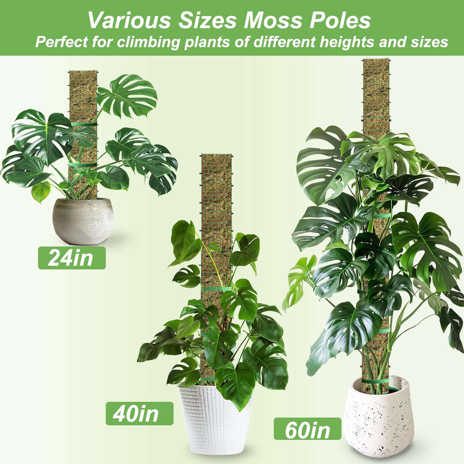 HOLANHING 40 inch moss pole side view