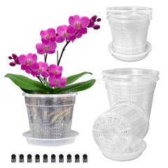HOLANHING 5.5" orchid pot clear model front view with saucer