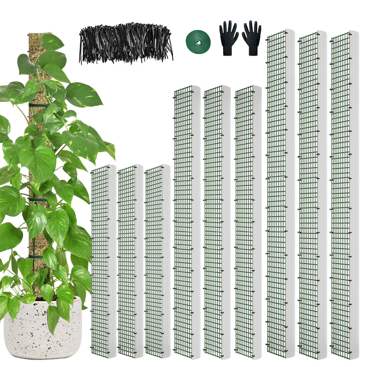 HOLANHING 60-inch moss pole with D shape design and mesh surface