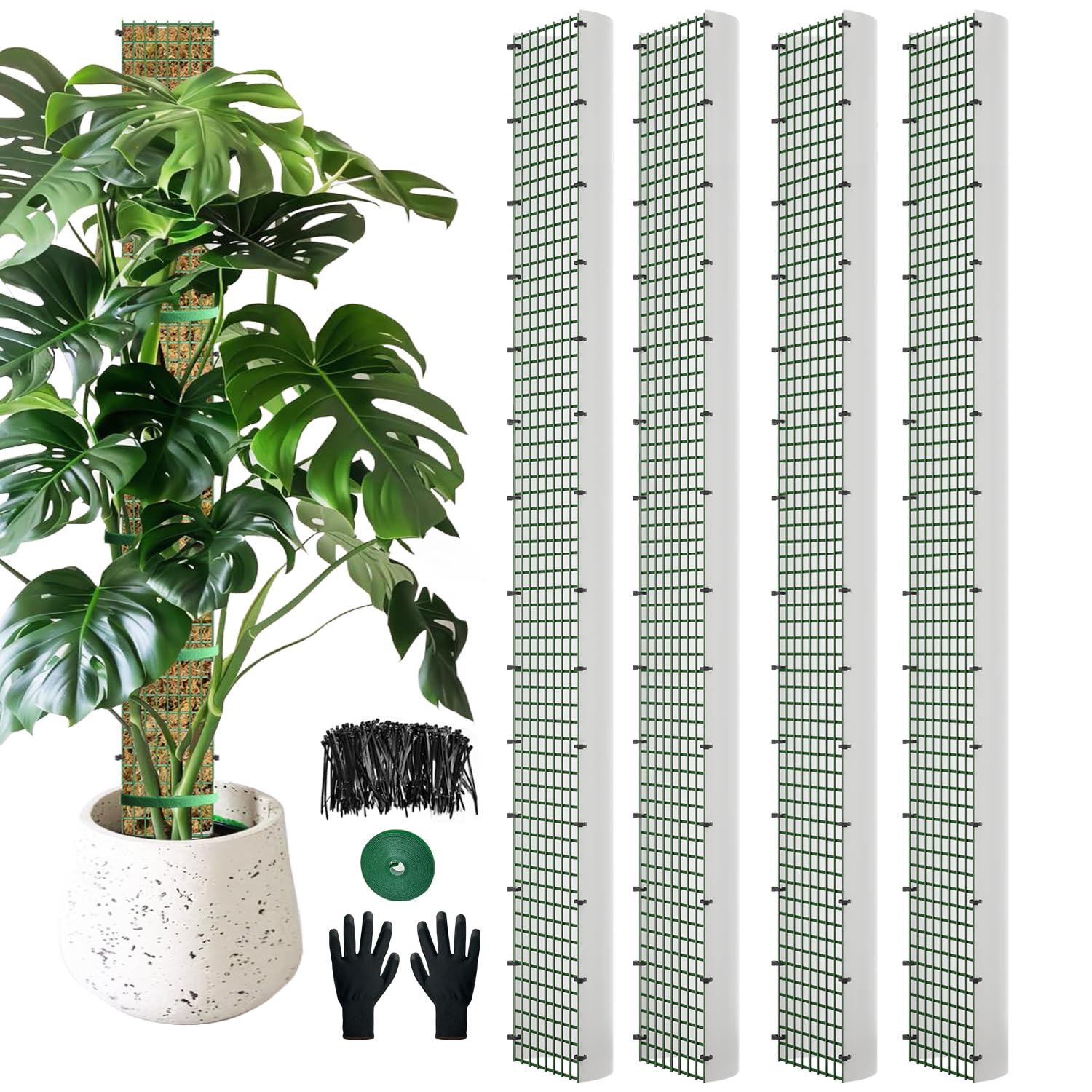 HOLANHING 60" Metal Moss Pole front view with D shape design