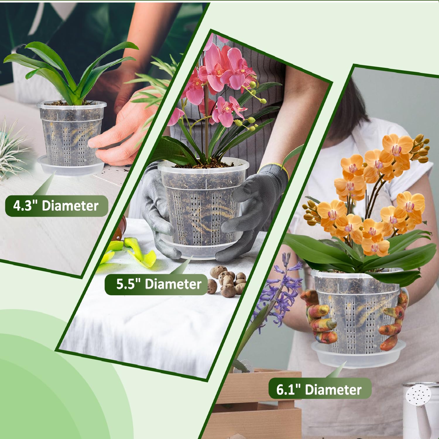 HOLANHING clear orchid pot showing ventilation holes