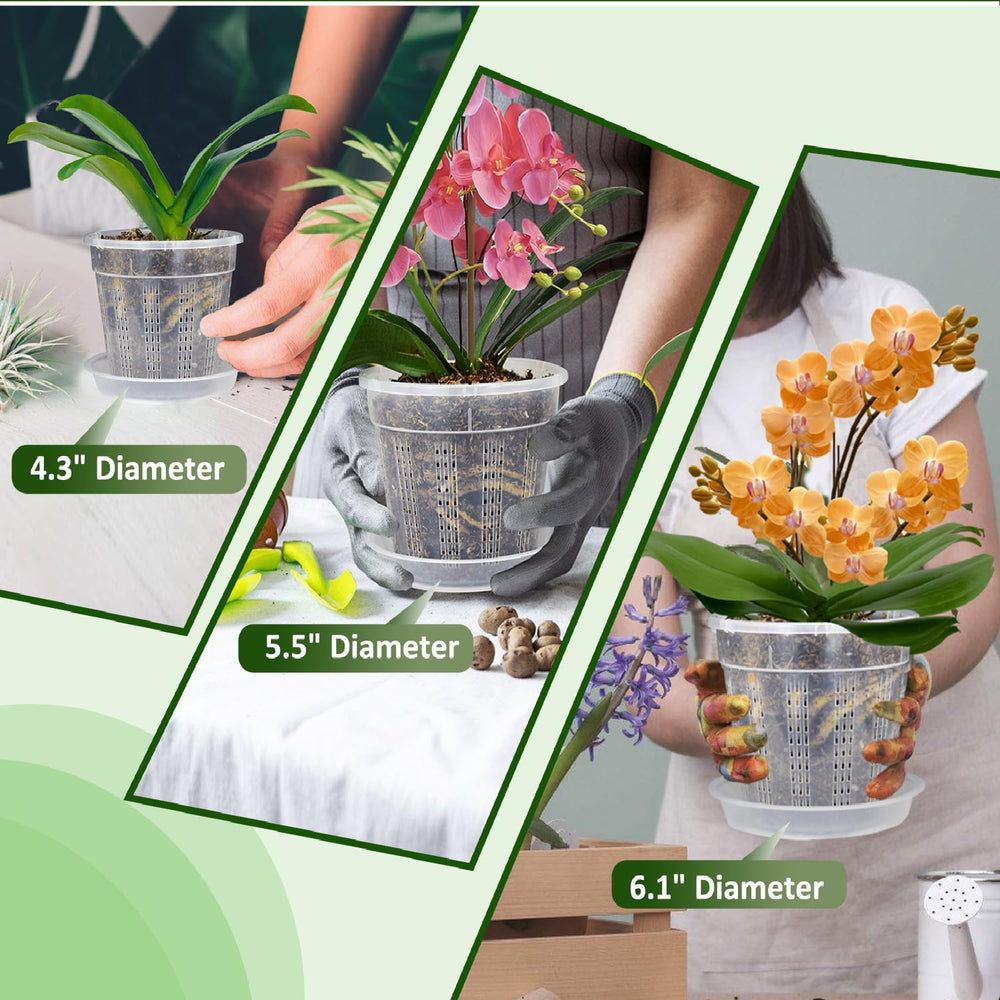 HOLANHING clear orchid pot showing ventilation holes