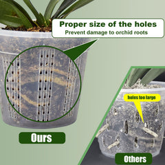 HOLANHING Orchid Pot Set includes 6.1-inch clear pot