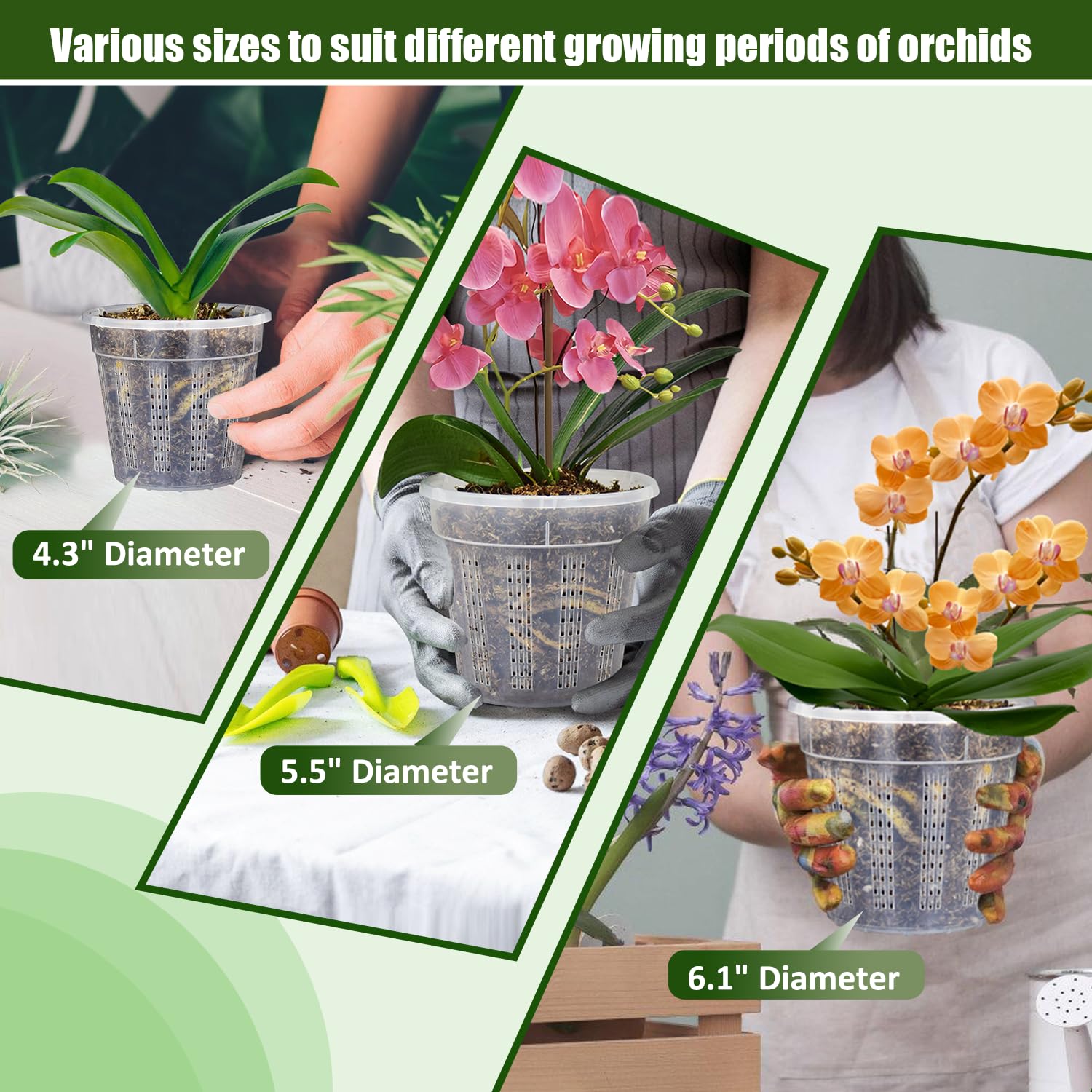 HOLANHING Orchid Pot Set packaging and contents