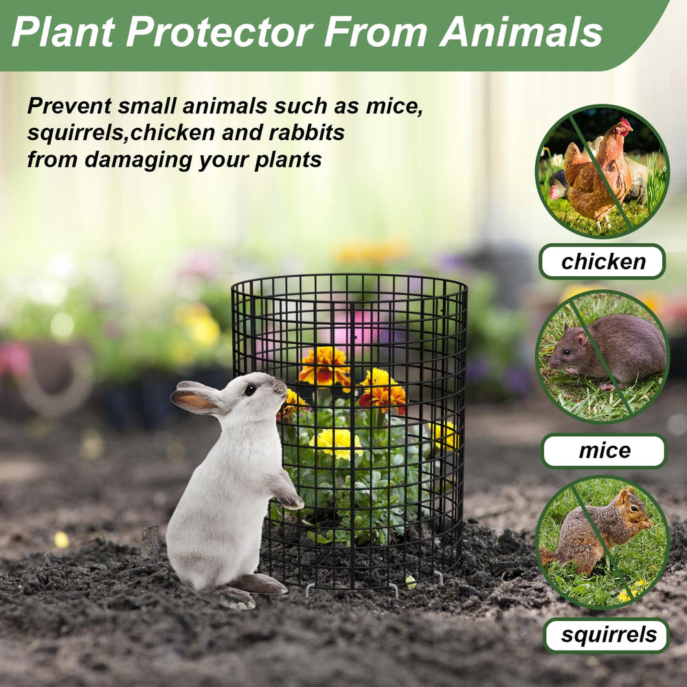 HOLANHING plant protectors securing young plants