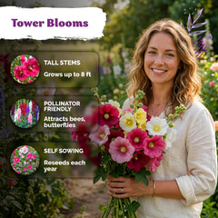 Hollyhock plants growing tall in sunny garden