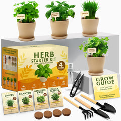 HOME GROWN 4 Herb Indoor Garden Kit, contents displayed including pots and tools
