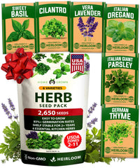 HOME GROWN 6 Herb Variety Pack front view with seed packets