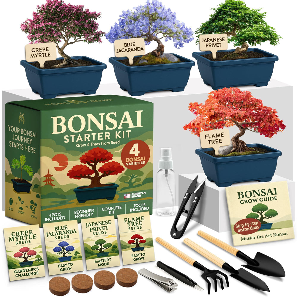 HOME GROWN Bonsai Tree Starter Kit contents with pots, soil, and tools