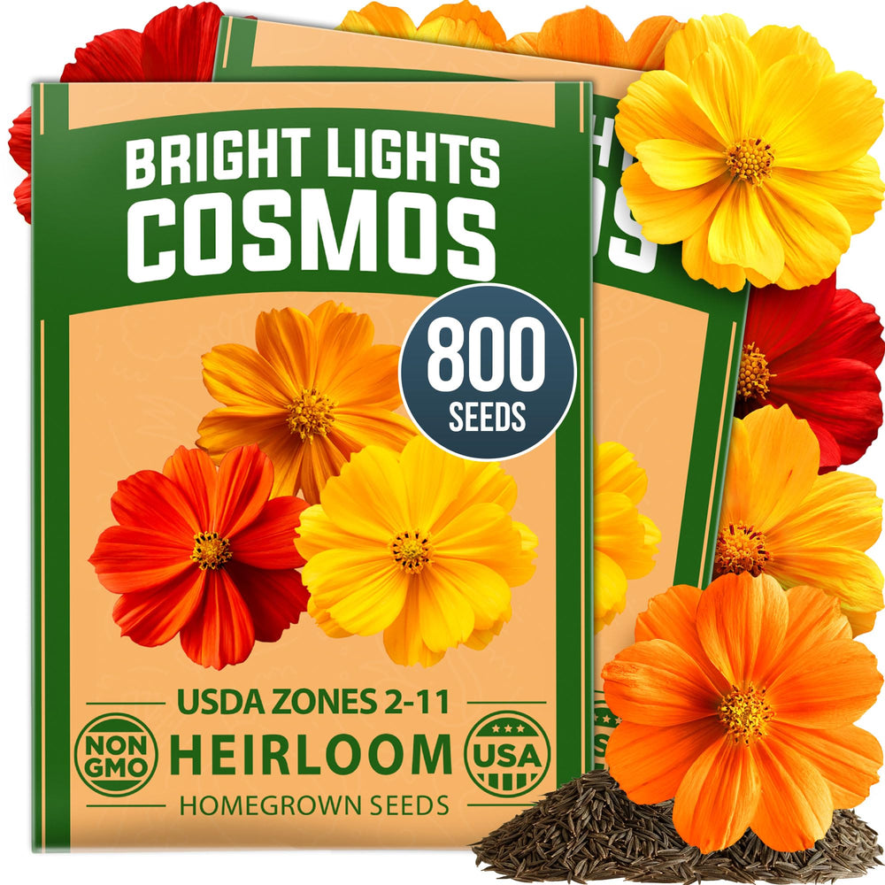 HOME GROWN Bright Lights Cosmos Mix Seeds pack front view