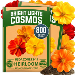 HOME GROWN Bright Lights Cosmos Mix Seeds pack front view