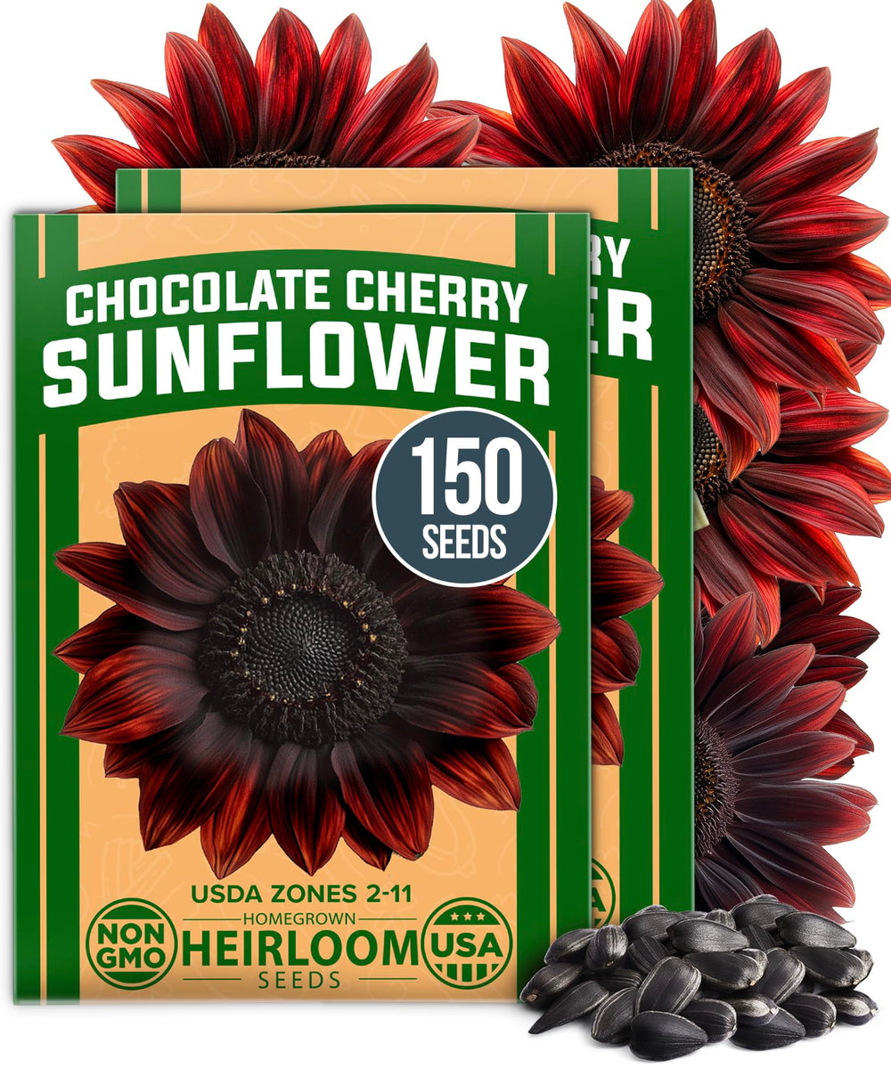 HOME GROWN Chocolate Cherry Sunflower Seeds package front view