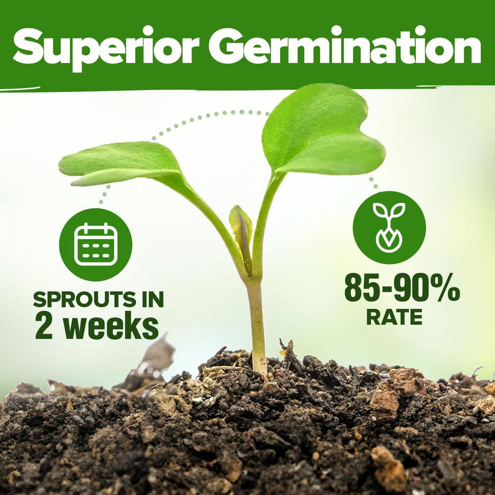 HOME GROWN comprehensive growing guide with herb seeds
