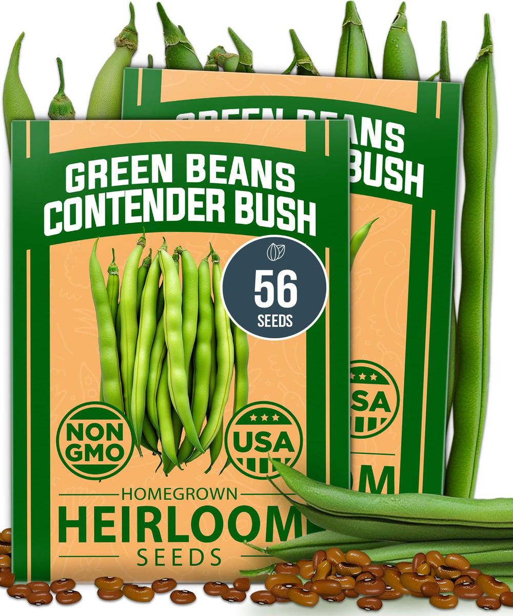 HOME GROWN Contender Bush Bean Seeds front packaging view