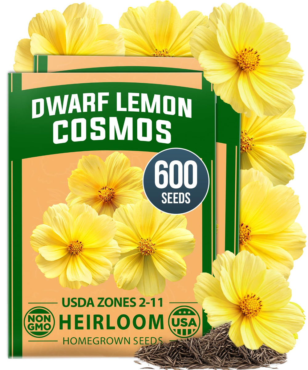 HOME GROWN Dwarf Lemon Cosmos Seeds package front view
