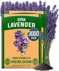 HOME GROWN English Lavender Seeds 3,000+ seeds pack front view