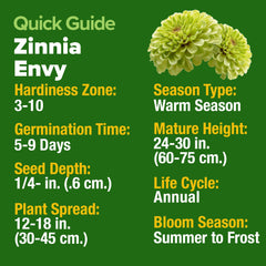 HOME GROWN Envy Zinnia Seeds back view showing planting instructions