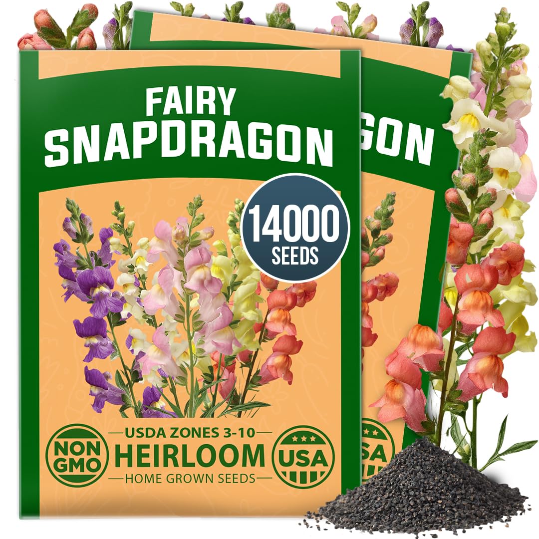 HOME GROWN Fairy Snapdragon Seeds packaging front view