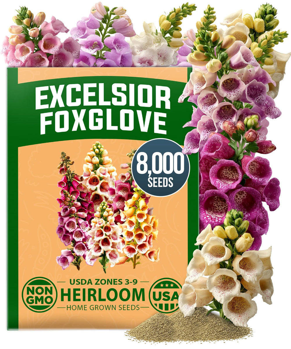 HOME GROWN Foxglove Excelsior Mix flower seeds packet front view
