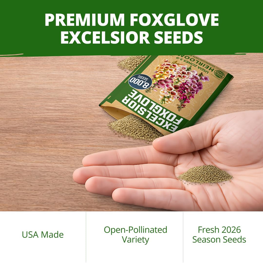 HOME GROWN Foxglove seeds packet with specifications