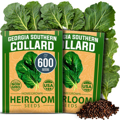 HOME GROWN Georgia Southern Collard Seeds pack front view