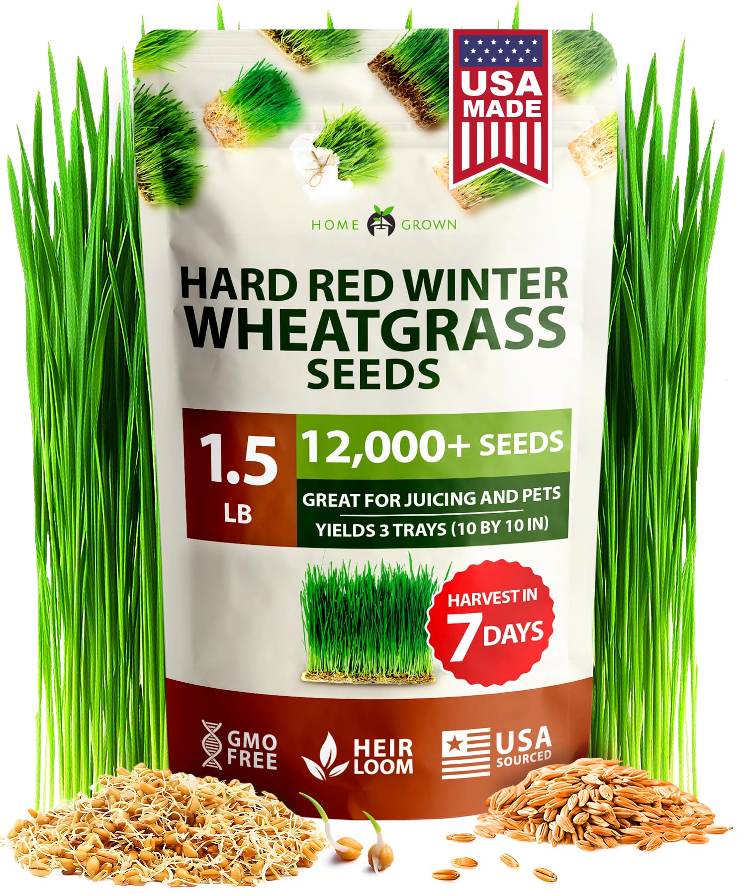 HOME GROWN Hard Red Winter Wheatgrass 12,000 seeds package front view