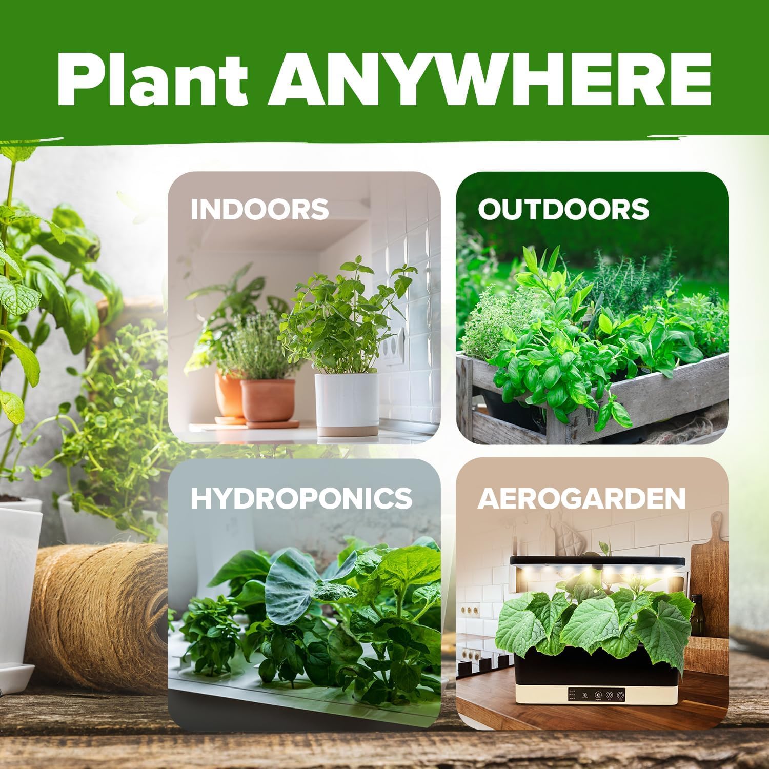 HOME GROWN herb garden with fresh herbs growing