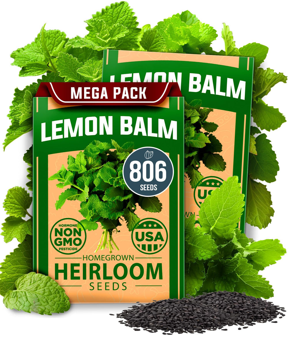 HOME GROWN Lemon Balm Seeds 403 seeds pack front view
