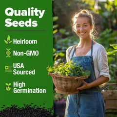 HOME GROWN Lemon Balm Seeds planting instructions guide