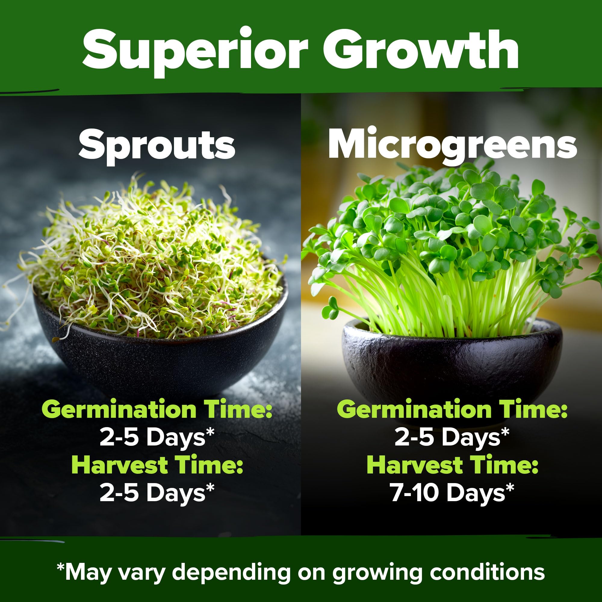 HOME GROWN microgreen seeds mix in a bowl