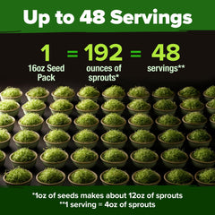HOME GROWN microgreens growing indoors