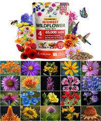 HOME GROWN Midwest Wildflower Mix packaging front view