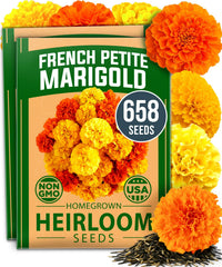 HOME GROWN Petite French Marigold Seeds front packaging view