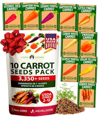 HOME GROWN Rainbow Carrot Variety Mix packaging front view with colourful carrots