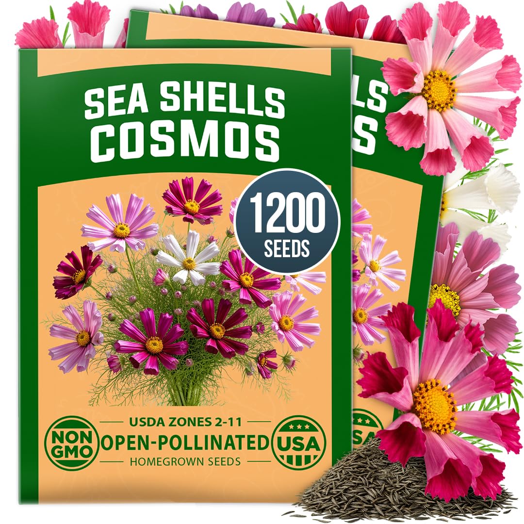 HOME GROWN Sea Shells Cosmos Seeds package front view