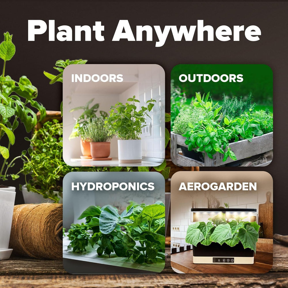 HOME GROWN seeds with a variety of vegetables in a kitchen setting