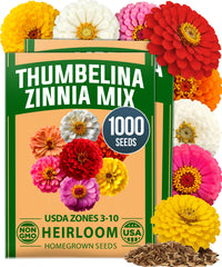 HOME GROWN Thumbelina Dwarf Zinnia Seeds pack front view