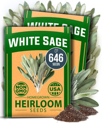 HOME GROWN White Sage Seeds pack front view with 646 seeds
