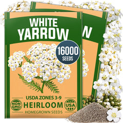 HOME GROWN White Yarrow Seeds front view with packaging details