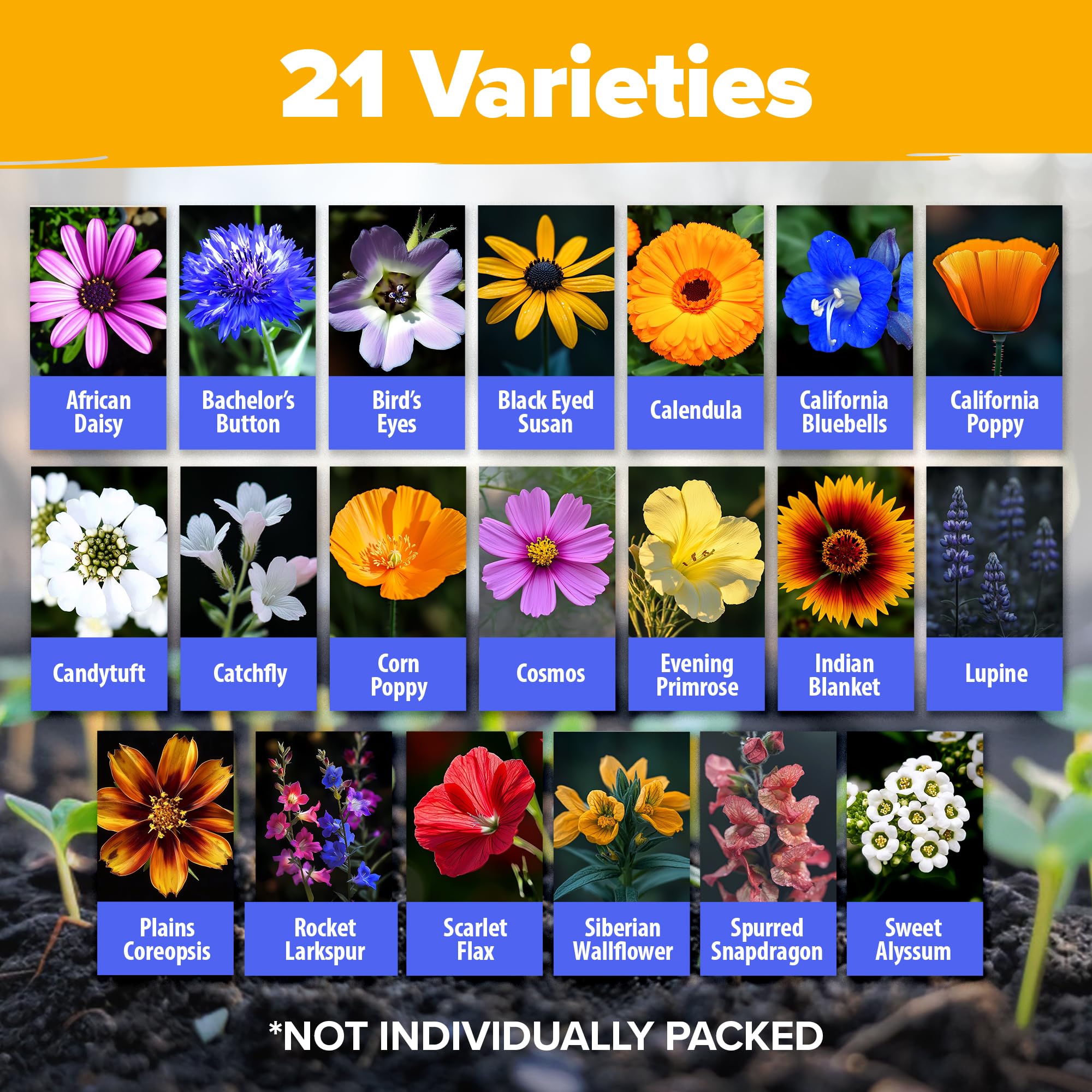 HOME GROWN wildflower seeds assortment close-up