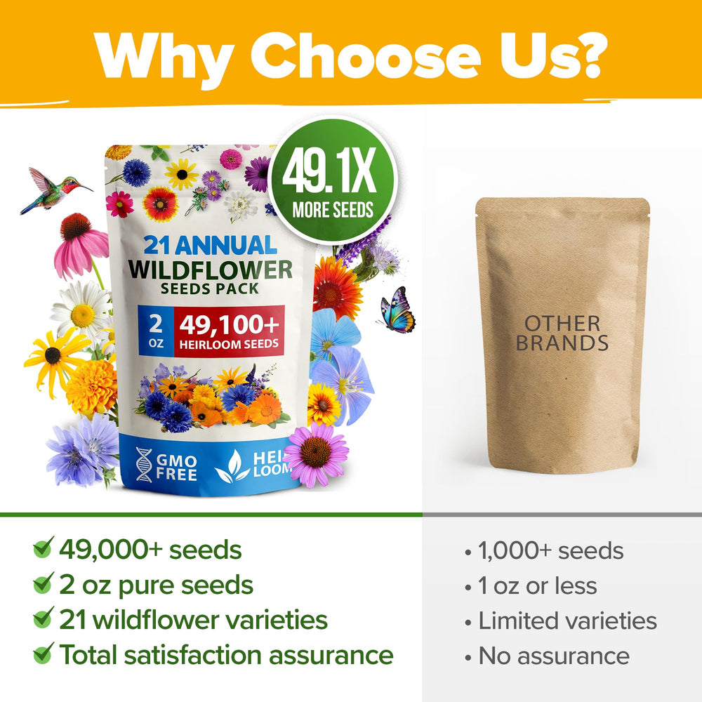 HOME GROWN wildflower seeds in natural setting