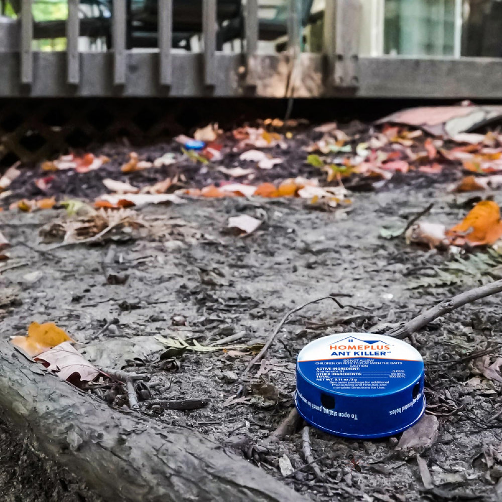 HOME PLUS Ant Killer Bait Station outdoors