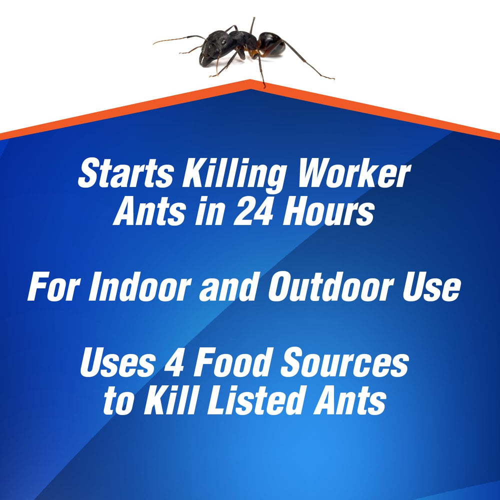 HOME PLUS Ant Killer Bait Station showing bait inside